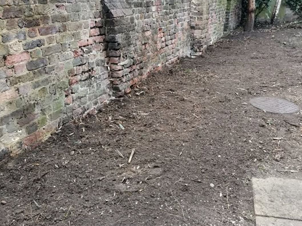 The same boundary after clearance, roots dug out and the strip levelled off