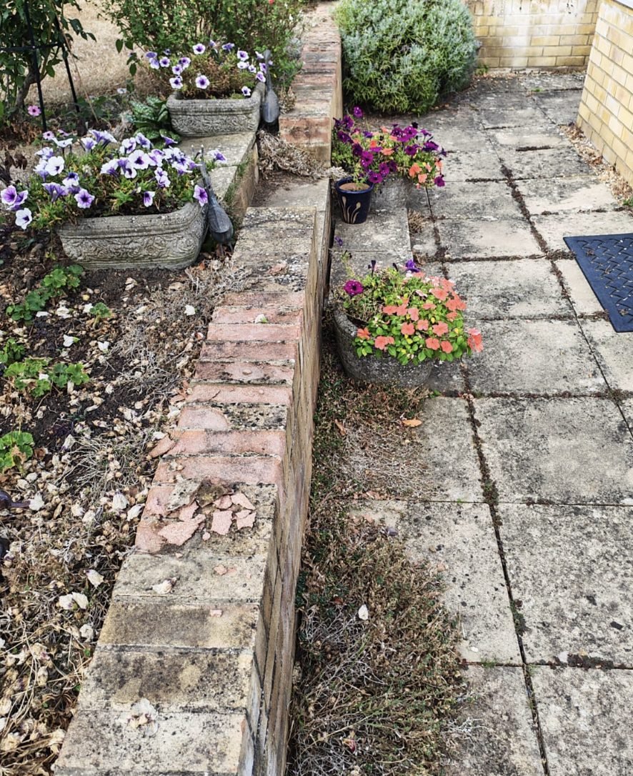 A raised bed edge cleaned up with the planting kept in check
