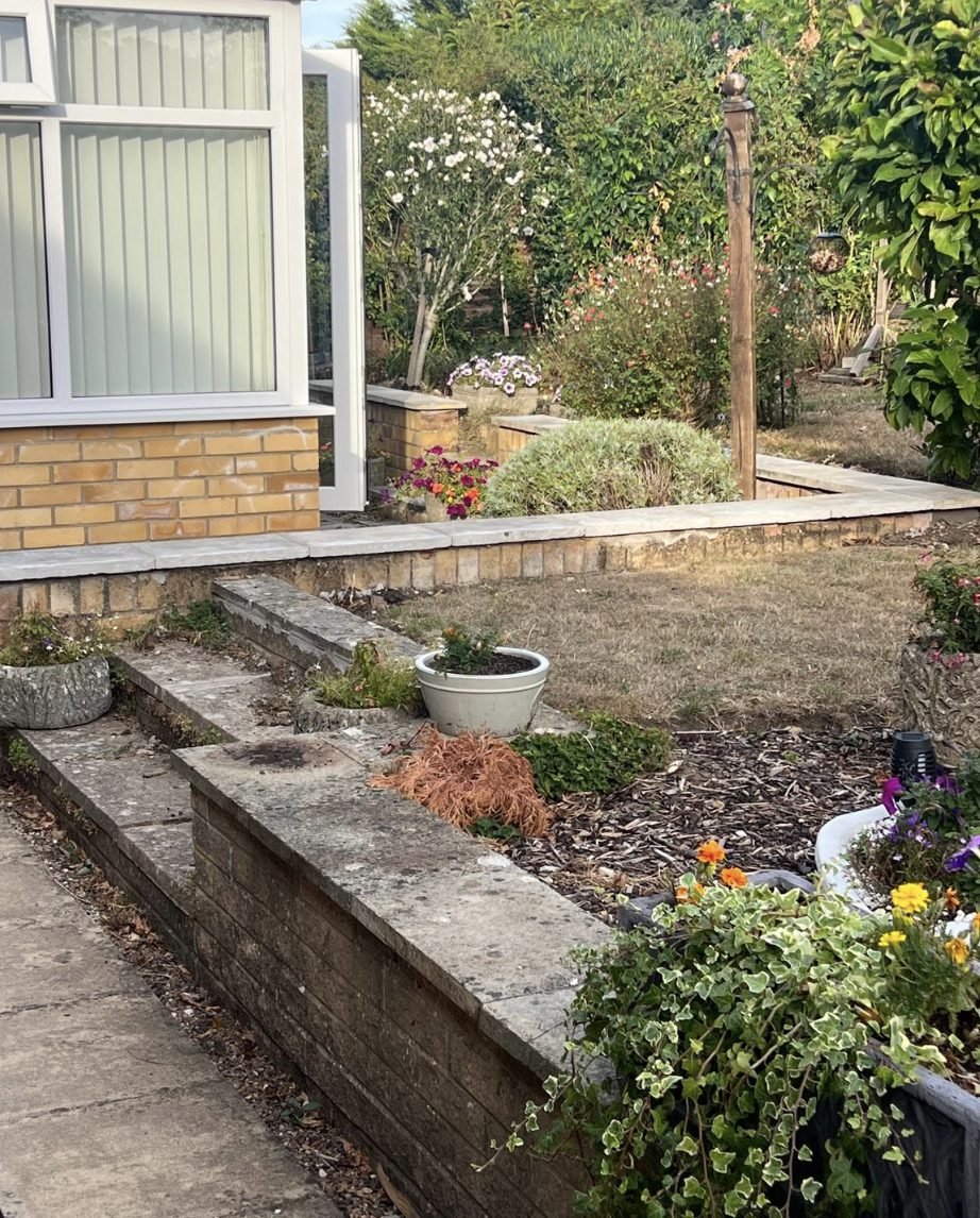 A whole plot kept on a regular visit, borders, beds and lawn